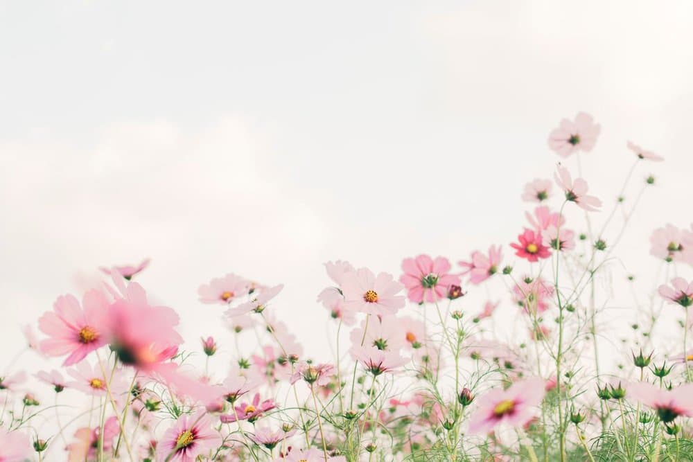 20+ Fun Spring Team Building Activities For Work