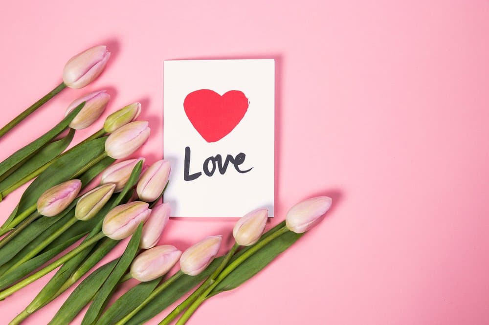 50 Fun Valentine's Day Trivia Questions And Answers