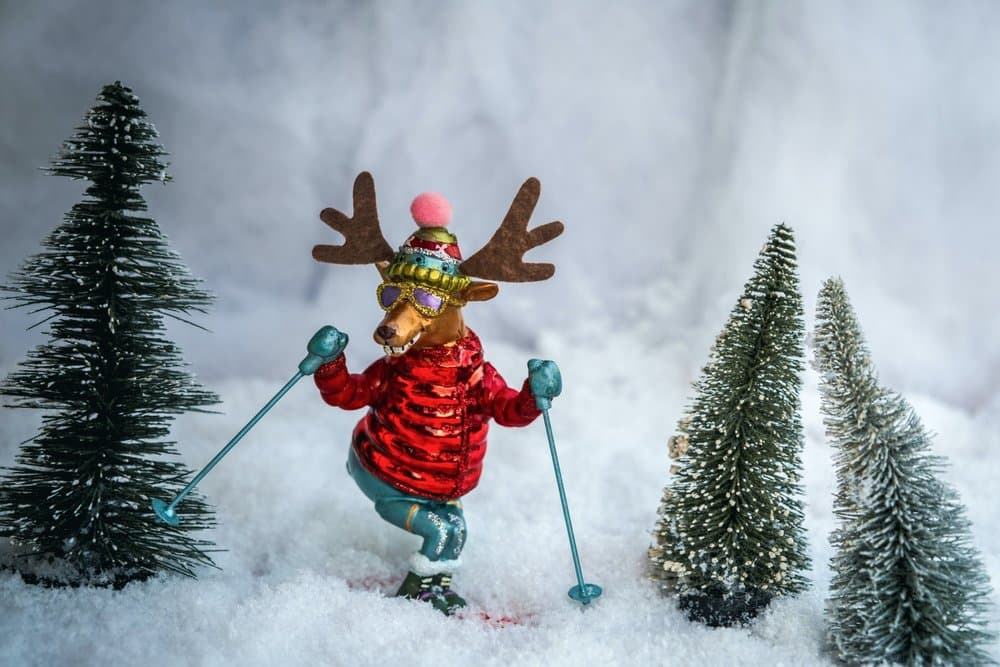 30+ Fun Winter Trivia Questions And Answers For Work