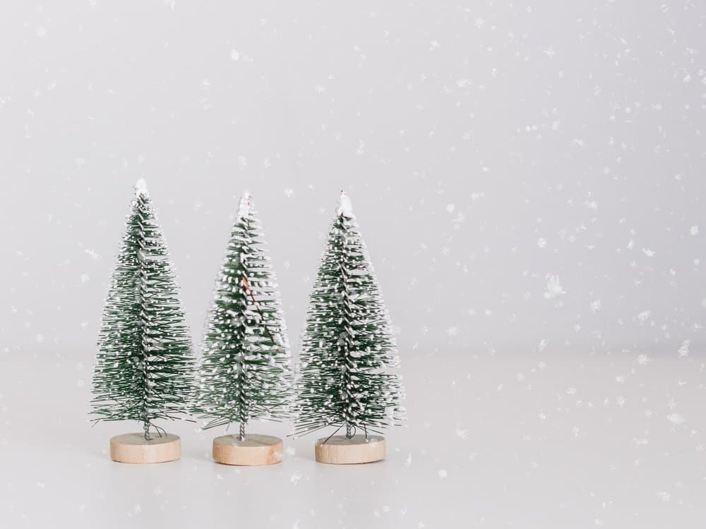 60+ Fun Holiday Trivia Questions For Office Parties