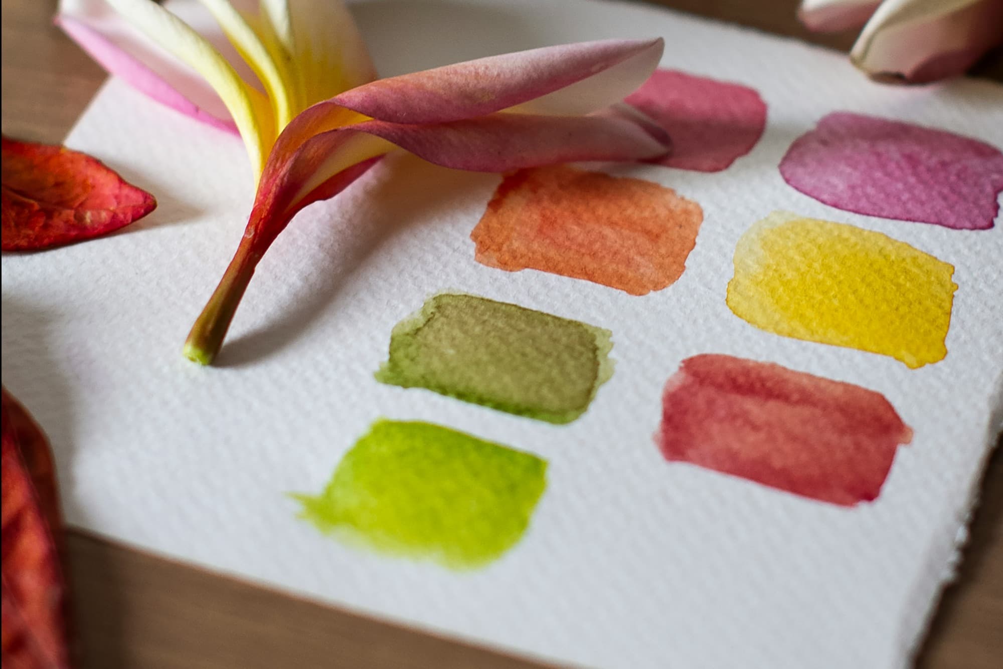 Watercolor Card Decorating