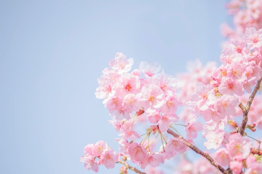 66dd109b8058bad06fad9899 spring team buulding 22