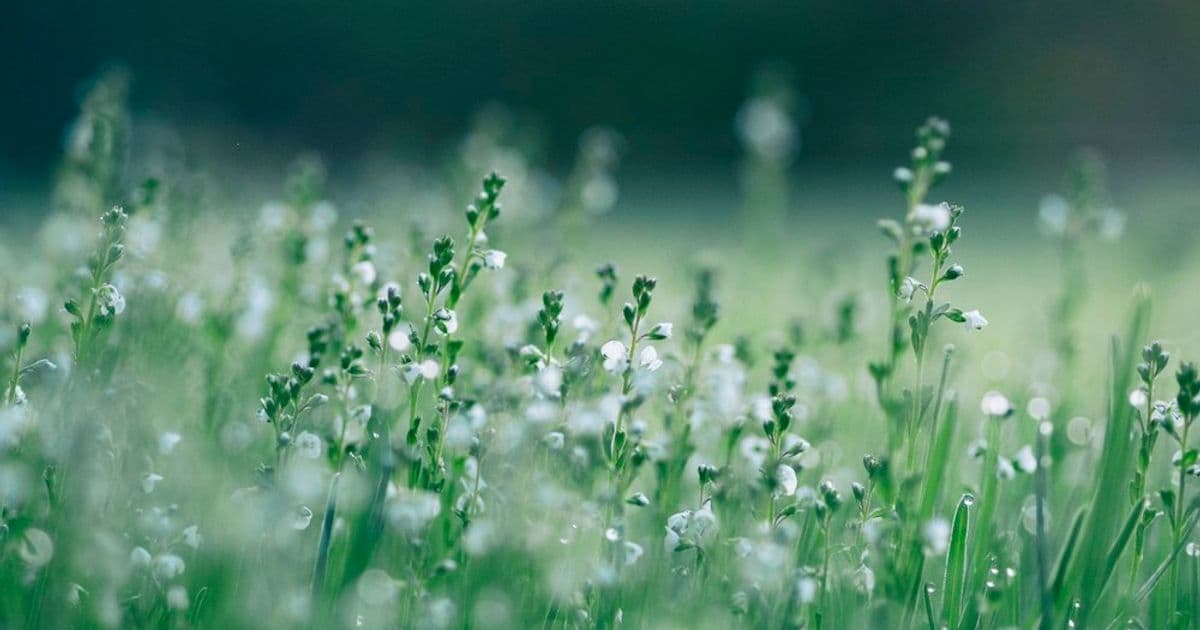 20+ Fun Earth Day Icebreakers To Celebrate At Work