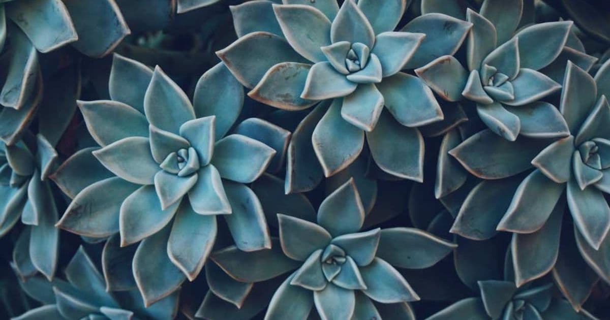 The Future of Work: A Conversation with A Sustainability Expert