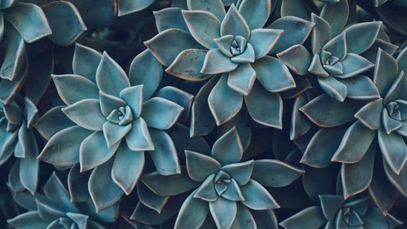 The Future of Work: A Conversation with A Sustainability Expert