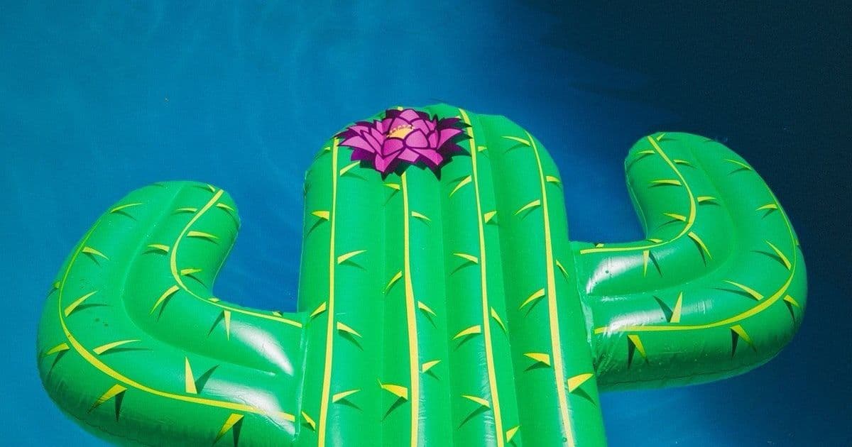 50 Fun Summer Icebreaker Questions For Team Bonding