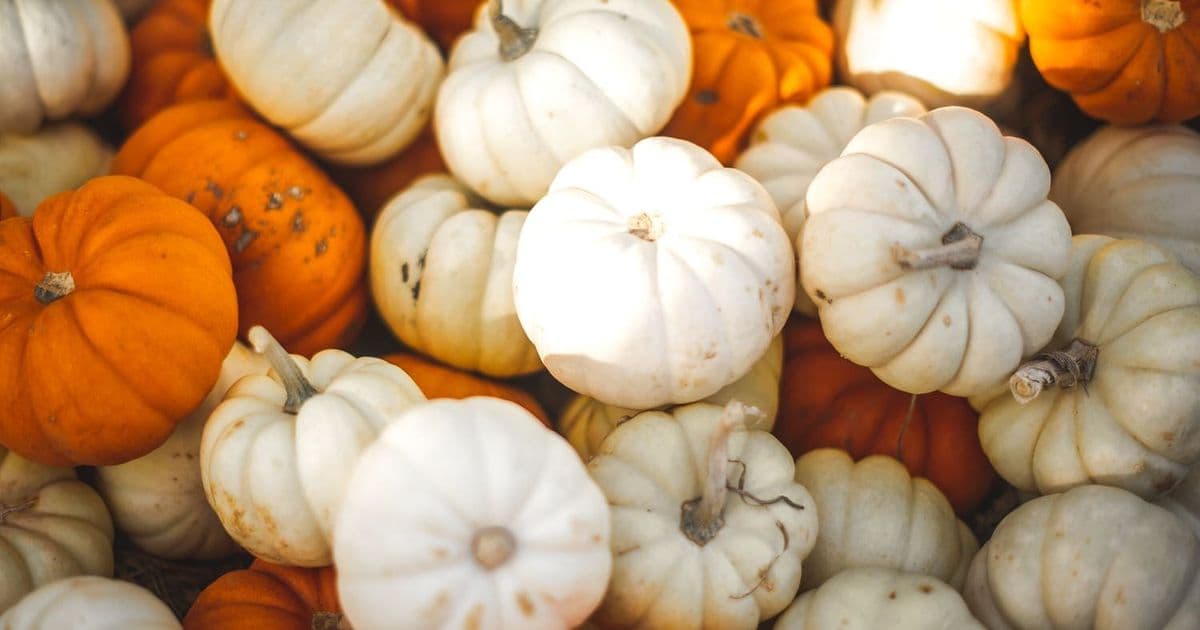 40 Fun Fall Icebreaker Questions For Team Building