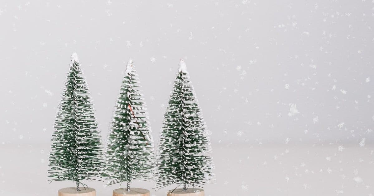 60+ Fun Holiday Trivia Questions For Office Parties