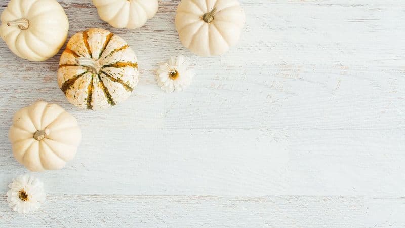 30 Fun Thanksgiving This Or That Questions For Teams