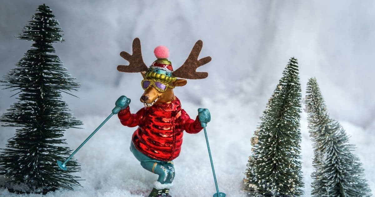 30+ Fun Winter Trivia Questions And Answers For Work