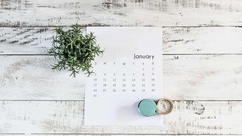 25+ Fun January Team Building Ideas For Work