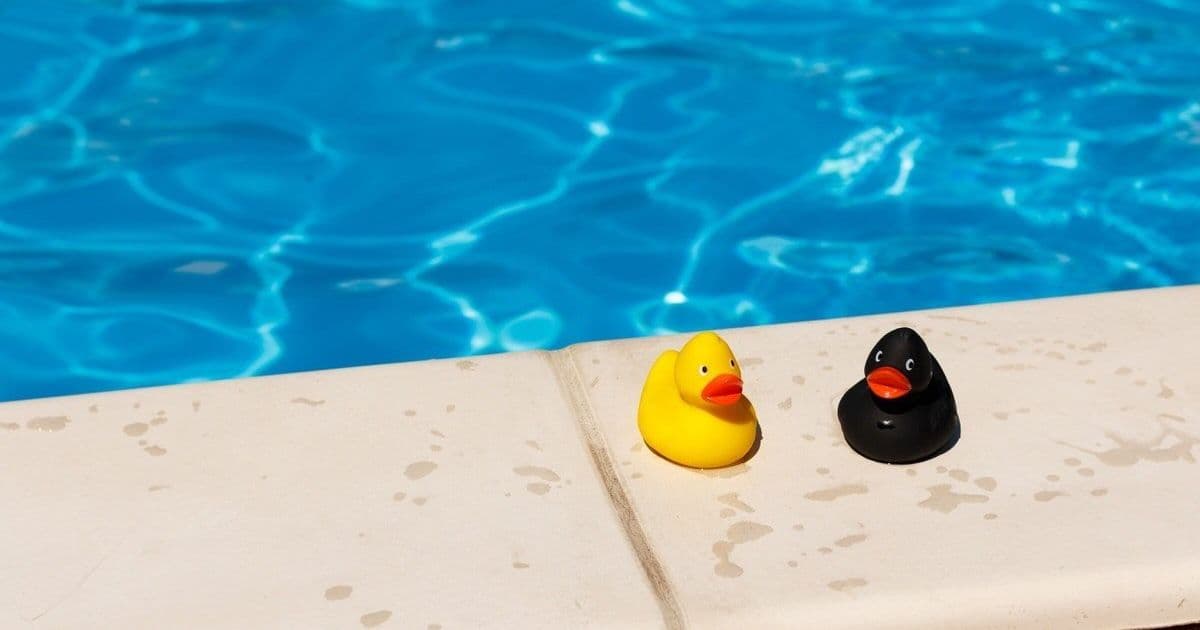 30+ Fun Summer Trivia Questions And Answers