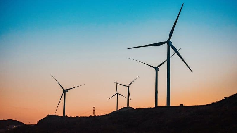 30+ Earth Day Trivia Questions And Answers For Work