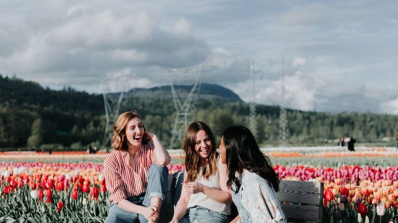 50+ Fun Women's History Month Icebreakers For Work