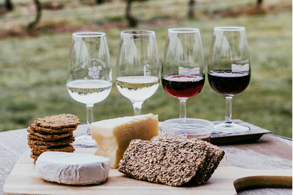 Jamie adler virtual wine tasting instructor