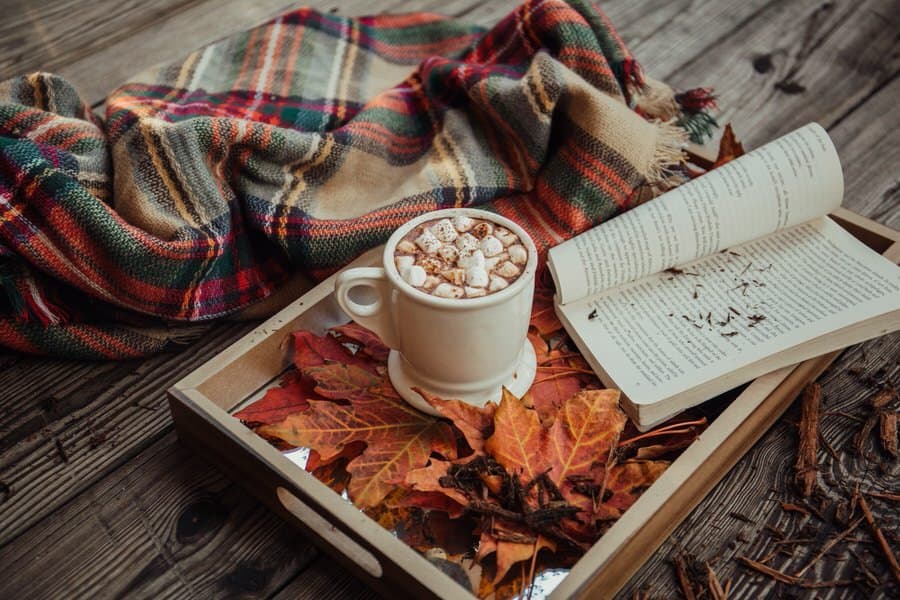 Fall scavenger hunt