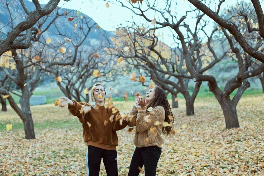 Fall icebreaker questions