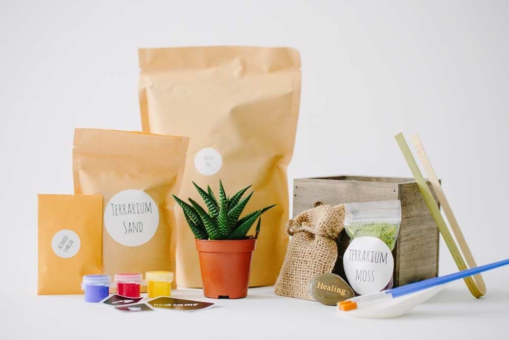 Terrarium making team building activity kit