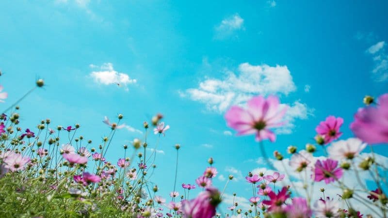 40 Fun Spring This Or That Questions For Work