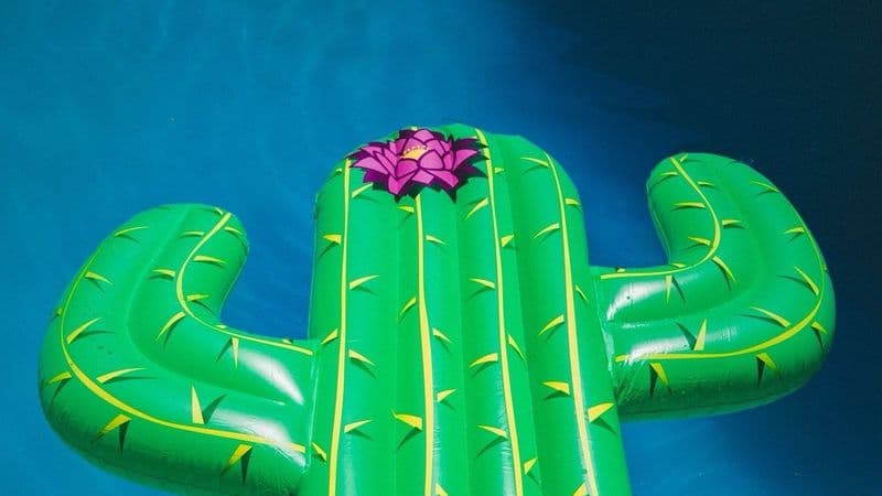 50 Fun Summer Icebreaker Questions For Team Bonding