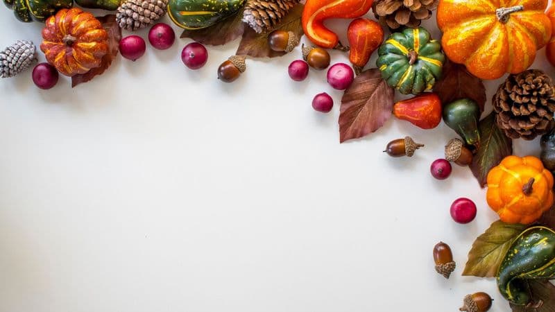 10 Fun Fall Team Building Activities For Remote Teams