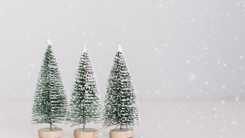 60+ Fun Holiday Trivia Questions For Office Parties