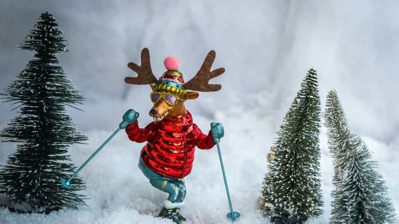 30+ Fun Winter Trivia Questions And Answers For Work