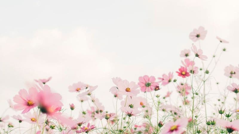 20+ Fun Spring Team Building Activities For Work